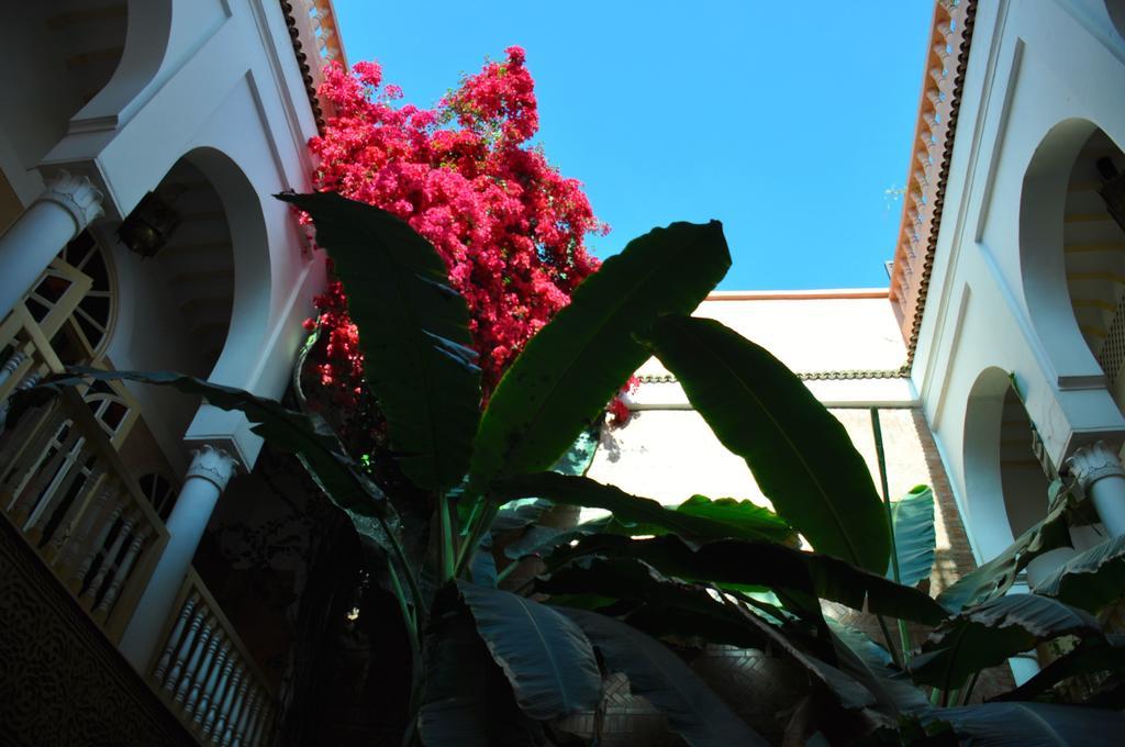Riad Habib Marrakesh Ngoại thất bức ảnh