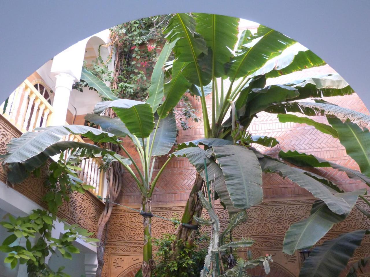 Riad Habib Marrakesh Ngoại thất bức ảnh